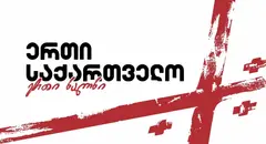 ერთი საქართველო: მოვითხოვთ პატიმრზე სავარაუდო სექსუალური ძალადობის სრულყოფილ გამოძიებას