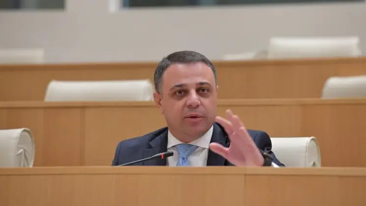 ალუდა ღუდუშაური ევროკომისიის კვლევაზე: უკვე მივეჩვიეთ, რომ, მათივე კვლევების მიუხედავად, გამოდიან და სრულიად საპირისპირო განცხადებებს აკეთებენ