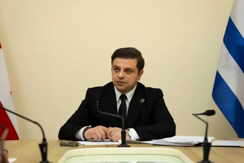 ცოტნე ანანიძე ოპოზიციაზე: "მანდატები მიატოვეს, მხარდამჭერებიც მიატოვეს 4 ოქტომბრის ძალადობრივ