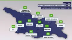 გარემოსდაცვითი ზედამხედველობის დეპარტამენტმა 9 თვეში უკანონო ტყითსარგებლობის 1203 ფაქტი გამოავლინა