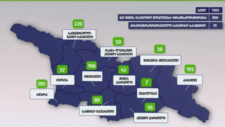 გარემოსდაცვითი ზედამხედველობის დეპარტამენტმა 9 თვეში უკანონო ტყითსარგებლობის 1203 ფაქტი გამოავლინა