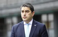 პაპუაშვილი ტანზანიაში გაემგზავრა