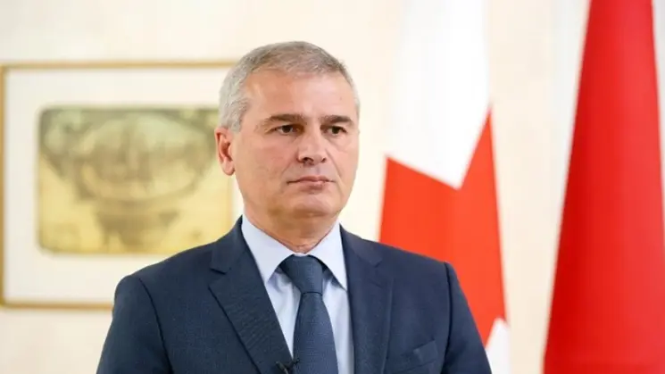 ირაკლი ქადაგიშვილი: ქალბატონი ნანული ჟორჟოლიანი უნდა გამხდარიყო პარტიის ახალი მასობრივი დარაზმვის სიმბოლო და ვხედავდით, რომ აქციაზე რამოდენიმე ათეული ადამიანი იყო