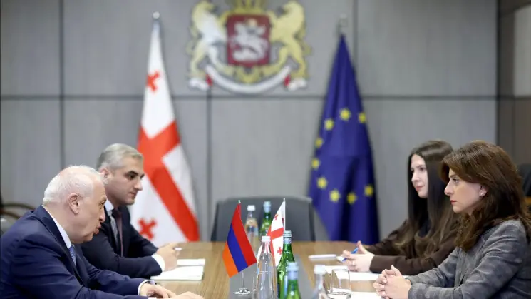 მაია ბითაძე სომხეთის ელჩს შეხვდა