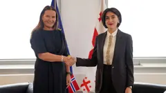მაკა ბოჭორიშვილმა საქართველოში ნორვეგიის სამეფოს ახლად დანიშნულ ელჩთან გაცნობითი შეხვედრა გამართა