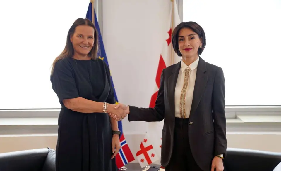 მაკა ბოჭორიშვილმა გაცნობითი შეხვედრა გამართა საქართველოში ნორვეგიის სამეფოს ახლად დანიშნულ ელჩთან