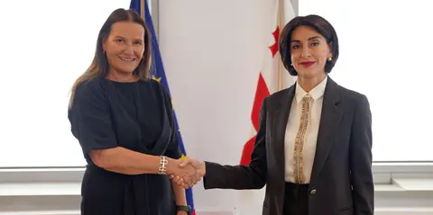 მაკა ბოჭორიშვილმა საქართველოში საბერძნეთისა და ნორვეგიის ელჩებთან გაცნობითი შეხვედრა გამართა