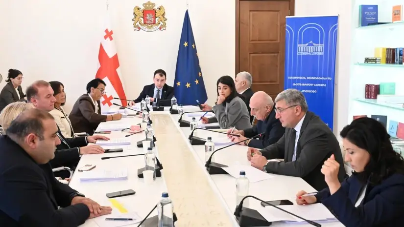 პარლამენტმა 2027 წლის ბიუჯეტის პირველადი ვერსიის განხილვა დაიწყო - ძირითადი პარამეტრები