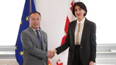 მაკა ბოჭორიშვილმა გაცნობითი შეხვედრა გამართა საქართველოში ვიეტნამის ახლადდანიშნულ ელჩთან