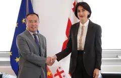 მაკა ბოჭორიშვილმა საქართველოში ვიეტნამის ახლად დანიშნულ ელჩთან გაცნობითი შეხვედრა გამართა