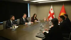 დავით სონღულაშვილი ყირგიზეთის ბუნებრივი რესურსების, ეკოლოგიისა და ტექნიკური ზედამხედველობის მინისტრს შეხვდა