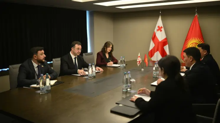 დავით სონღულაშვილი ყირგიზეთის ბუნებრივი რესურსების, ეკოლოგიისა და ტექნიკური ზედამხედველობის მინისტრს შეხვდა