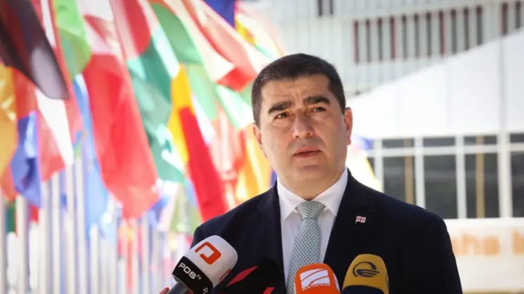 აღიარონ რაც ჩაიდინეს საკუთარი სამშობლოს წინაშე, აიღონ პასუხისმგებლობა მათ შორის იმაზე, რომ ასეთ დანაშაულს საკუთარი ქვეყნის წინააღმდეგ აღარ ჩაიდენენ - შალვა პაპუაშვილი