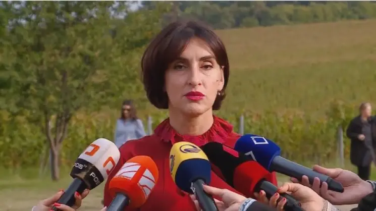 "რთველი ჩვენი ტრადიციების და ჩვენი იდენტობის ნაწილია" - მაკა ბოჭორიშვილმა დიპლომატიურ კორპუსს წინანდალში უმასპინძლა