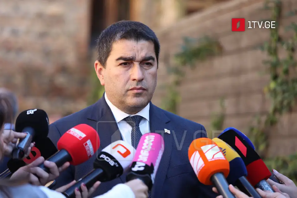 შალვა პაპუაშვილი – რადიკალური ოპოზიცია შხამიანი თესლია, რომელიც არა მხოლოდ ქვეყნის, საკუთარი თავის წინააღმდეგაც მოქმედებს, საკუთარ თავსაც წამლავს, შხამიანი თესლისგან კეთილი ნაყოფი ვერ გაიზარდება