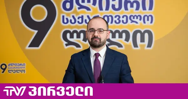 გეგელია "ოცნებას": დაუყოვნებლივ ჩააბარეთ მოსახლეობას ანგარიში, რა პრევენციული ზომების გატარებას აპირებთ მოსახლეობის უსაფრთხოების დასაცავად