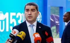პაპუაშვილი მარტა კოსს: ჯობია, მხოლოდ ქაღალდზე ვიყოთ კანდიდატი ქვეყანა, ვიდრე - სახელმწიფო