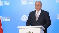 მიხეილ სარჯველაძე: შავ ჭირთან დაკავშირებით არავითარი მიზეზი პანიკისა და ყალბი აჟიოტაჟისთვის არ არსებობს