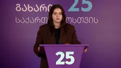"აშშ თვითონ დაალაგებს საკუთარ არჩევნებს" - ანა დადიანი ტრამპის გადაწყვეტილებაზე, რომელმაც შუალედურ არჩევნებზე ეუთო არ მიიწვია