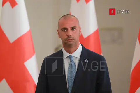ლევან მაჭავარიანი – აგენტურული ოპოზიცია რევოლუციებს ვერ მოგვიწყობს ბრიუსელის დაფინანსებით, ამ ყველაფრის გარანტი არის ქართველი ხალხი