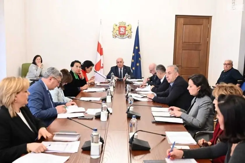 ჯანმრთელობის დაცვისა და სოციალურ საკითხთა კომიტეტმა „საქართველოს 2027 წლის სახელმწიფო ბიუჯეტის შესახებ“ კანონპროექტი განიხილა