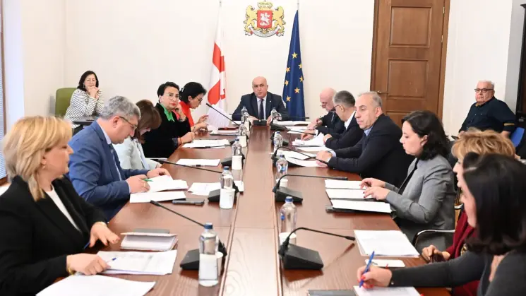 ჯანმრთელობის დაცვისა და სოციალურ საკითხთა კომიტეტმა "საქართველოს 2027 წლის სახელმწიფო ბიუჯეტის შესახებ" კანონპროექტი განიხილა
