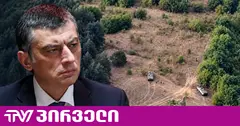 საქმე გახარიას წინააღმდეგ - ადვოკატის თქმით, პროკურატურამ მოწმეებად ადგილობრივი სოფლებიდან პარტიული მუშაკები მიიყვანა