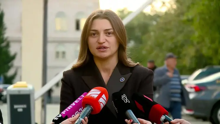 "ბრალდების მხარეს გამამტყუნებელი განაჩენის გამოტანის გონივრული მოლოდინი გააჩნია" - პროკურორი გახარიას საქმეზე