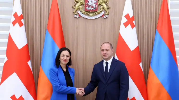 გივი მიქანაძემ სომხეთის განათლების, მეცნიერების, კულტურისა და სპორტის მინისტრთან შეხვედრა გამართა