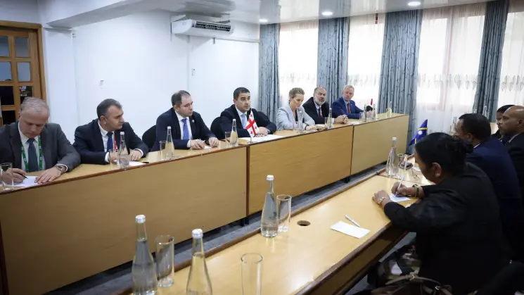 საპარლამენტთაშორისო კავშირის 153-ე ასამბლეა - საპარლამენტო დელეგაციის ვიზიტი ტანზანიაში და საქართველოსთვის აქტუალურ საკითხებზე სასაუბროდ გამოყენებული საერთაშორისო ტრიბუნა