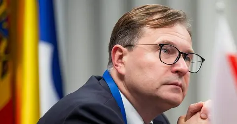 ჟალიმასი საქართველოზე: მოსამართლეებს უნდა დავუწესოთ მიზანმიმართული სანქციები
