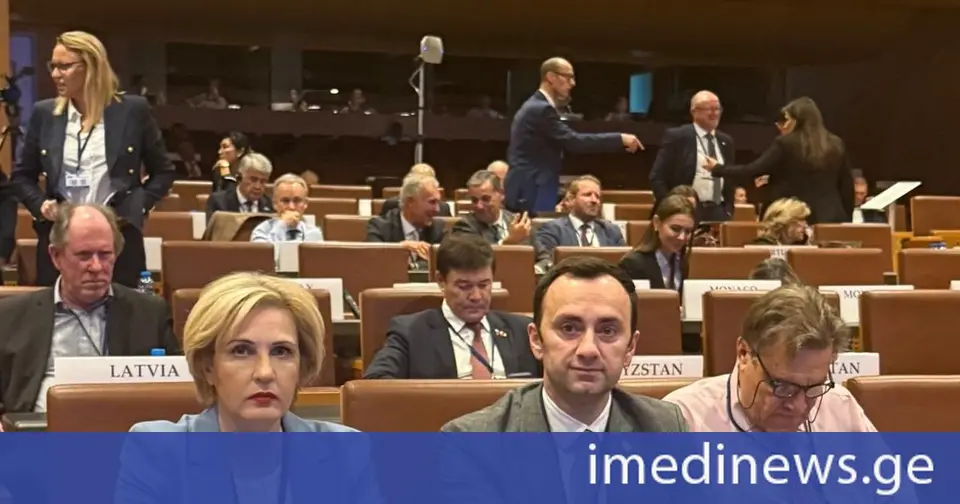 ეკა სეფაშვილი: დიალოგის აუცილებლობა ქვეყნებს შორის და ორმაგი სტანდარტების თავიდან აცილება - ეს არის ის გზა, რომელიც უზრუნველყოფს სტაბილურობასა და უსაფრთხოებას!