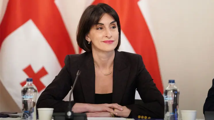 ყველა განხილვაში საქართველოს პოზიციები გაჟღერდა ჩვენთვის მნიშვნელოვან თემებზე, მშვიდობაზე, უსაფრთხოებაზე; თუ როგორ უნდა წარვმართოთ მუშაობა, რა არის მთავარი - მაკა ბოჭორიშვილი გაეროს გენერალურ ასამბლეაზე საქართველოს მონაწილეობის შესახებ