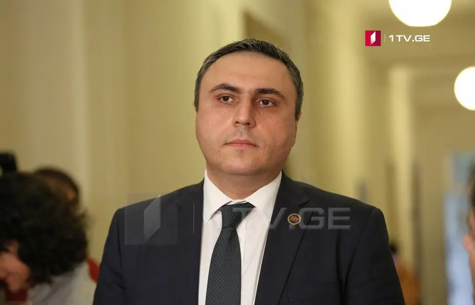 დავით მათიკაშვილი – ევროპარლამენტში დებატებზე სამარცხვინო სურათი იხილა საზოგადოებამ, ცარიელ დარბაზში, 20 დეპუტატის ფარგლებში გაჟღერდა თითიდან გამოწოვილი ბრალდებები