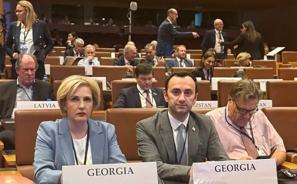 ეკა სეფაშვილი – ქვეყნებს შორის დიალოგის აუცილებლობა და ორმაგი სტანდარტების თავიდან აცილება არის ის გზა, რომელიც უზრუნველყოფს სტაბილურობასა და უსაფრთხოებას