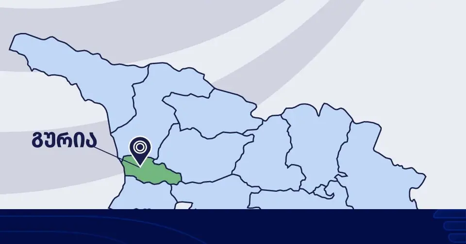 გურიაში სამელიორაციო ინფრასტრუქტურის განვითარებისთვის 1.5 მილიონ ლარზე მეტი დაიხარჯება