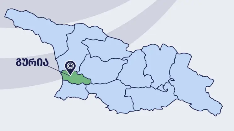 გურიაში სამელიორაციო ინფრასტრუქტურის განვითარებისთვის 1.5 მილიონ ლარზე მეტი დაიხარჯება