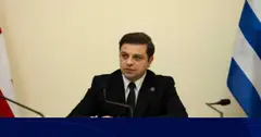 ცოტნე ანანიძე ევროპარლამენტარ დანიუს ჟალიმასის განცხადებაზე: ამგვარი განცხადებები არის „ნაყიდი ხელოვნური სუნთქვა ოპოზიციისთვის” და ლობისტური თვალთმაქცობა, თითქოს დარდობს საქართველოზე