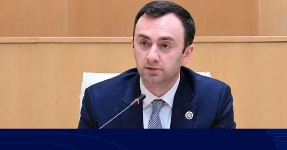 ლევან მახაშვილი ევროპარლამენტში დებატებზე: ეს იყო საშუალოდ შესრულებული პოლიტიკური შოუ, რომლის მიზანიც იყო ერთადერთი - პოლიტიკური ხმაურის შექმნა, რაღაც განწყობების გაჩენა და საქართველოს ხელისუფლების რეპუტაციის დაზიანება. რეზოლუციებს არანაირი სამართლებრივი ძალა არ გააჩნია