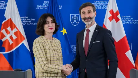 EU-ს ქვეყნების ნაწილი ეუთოში საქართველოს კანდიდატურას მხარს უჭერს - ბოჭორიშვილი