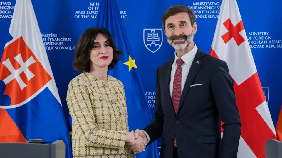 EU-ს ქვეყნების ნაწილი ეუთოში საქართველოს კანდიდატურას მხარს უჭერს - ბოჭორიშვილი