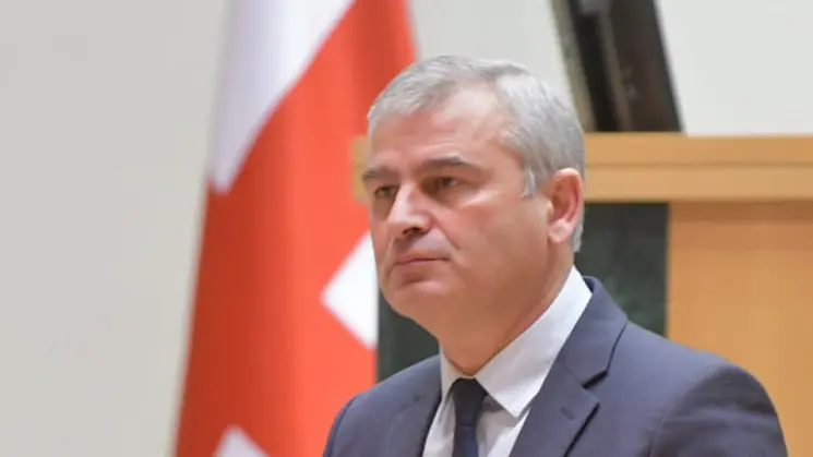 მიზანია ერთადერთი რამ, "ნაციონალური მოძრაობის" კლასტერის ნებისმიერი ხერხით ხელისუფლებაში მოყვანა - ირაკლი ქადაგიშვილი ევროპარლამენტის რეზოლუციაზე