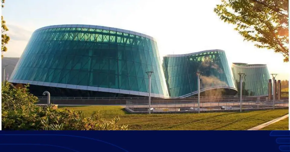 სამართალდამცველებმა ინტერპოლის წითელი ცირკულარით ძებნილი უცხო ქვეყნის მოქალაქე დააკავეს