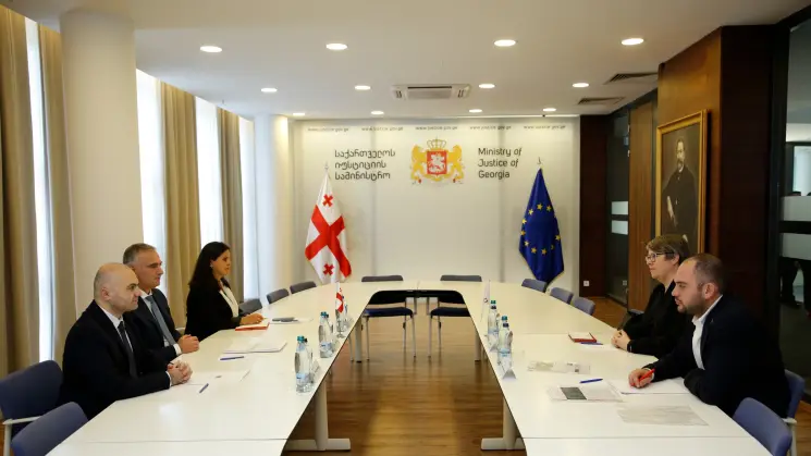 პაატა სალია ICRC-ის დელეგაციის ახალ ხელმძღვანელს შეხვდა