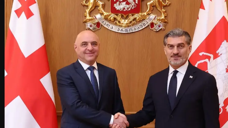 მიხეილ ყაველაშვილი აზერბაიჯანში საქართველოს ახლადდანიშნულ ელჩს, გიორგი ზაქარაშვილს შეხვდა