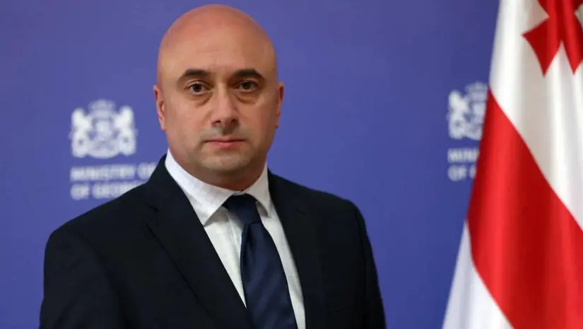 მიხეილ კიკნაძე, რომელიც კულტურის მინისტრის პოსტიდან თინათინ რუხაძის გადადგომის შემდეგ მინისტრის მოვალეობას ასრულებდა, კულტურის მინისტრის პირველ მოადგილედ დაინიშნა