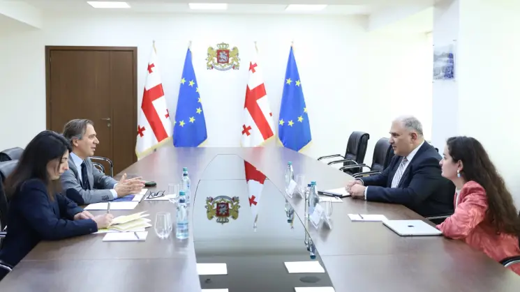 მიხეილ სარჯველაძე საქართველოში ჯანმრთელობის მსოფლიო ორგანიზაციის წარმომადგენელს ჟოაო ბრედას შეხვდა