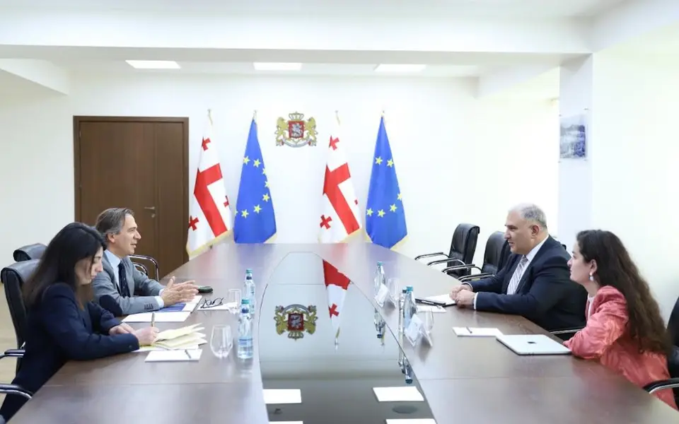 მიხეილ სარჯველაძე საქართველოში ჯანმრთელობის მსოფლიო ორგანიზაციის წარმომადგენელს, ჟოაო ბრედას შეხვდა