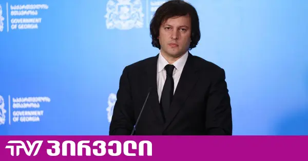 "ძალიან მძიმე მდგომარეობაშია" - კობახიძემ ევროპარლამენტი საბჭოთა კავშირის უზენაეს საბჭოს შეადარა