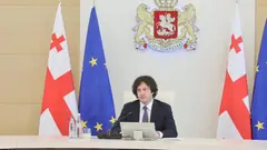 შესაბამისი უწყებები იქნებიან დაკავებული ამ საკითხით - კობახიძე ნანა ყეინიშვილის საქმიანობის გამოძიებაზე